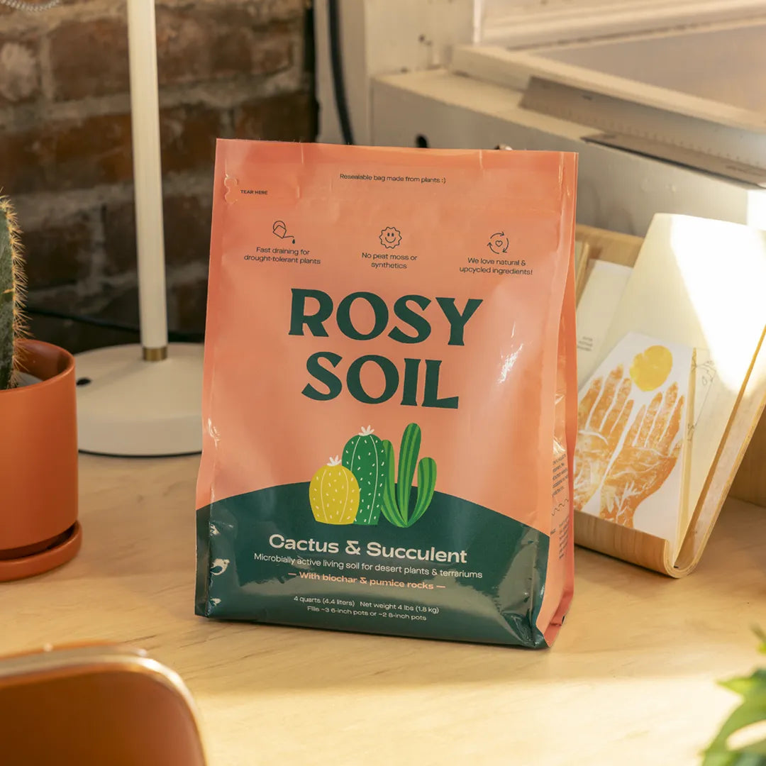 where to buy cactus soil mix Rosy Soil Cactus & Succulent Mix, 4 qt