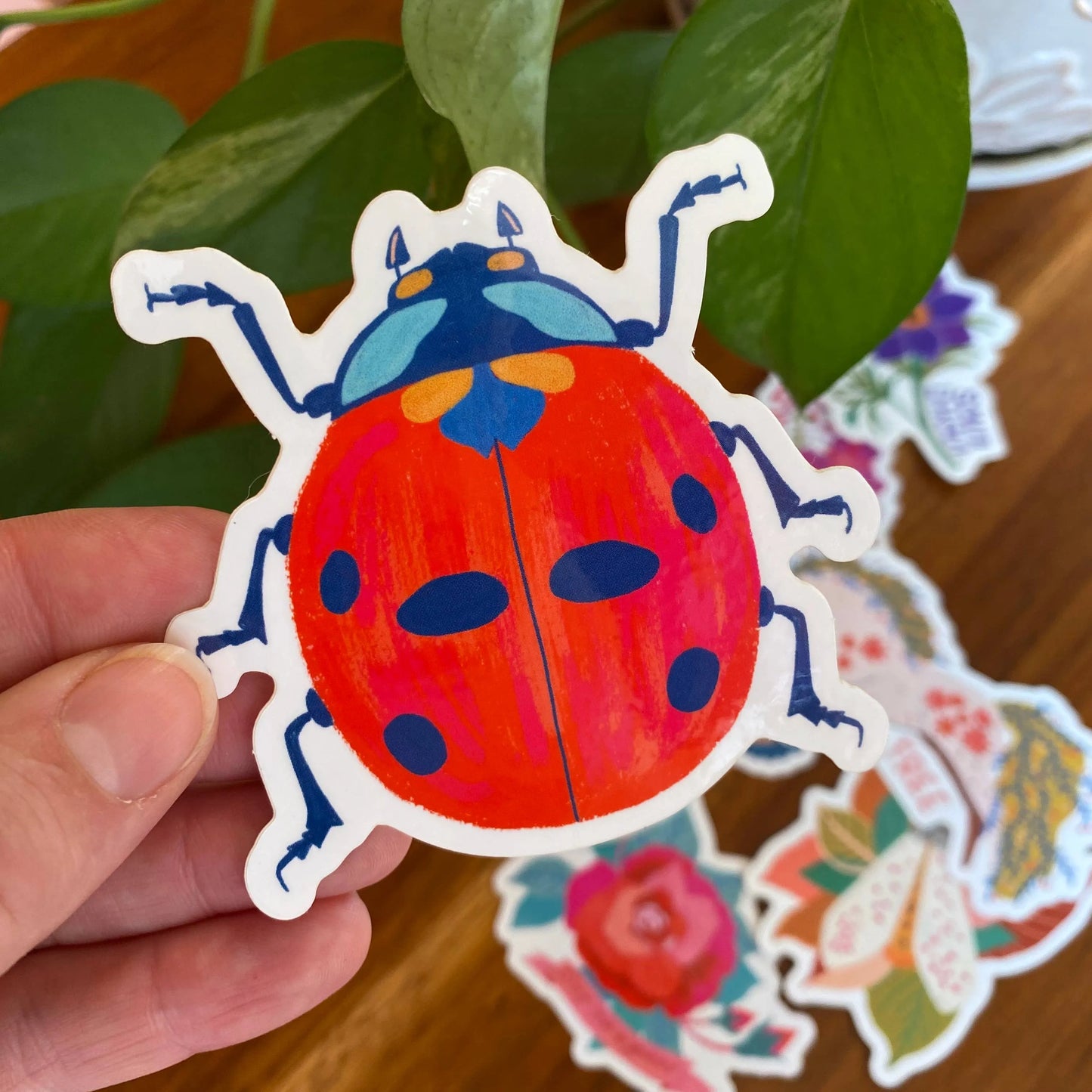 Ladybug Sticker - Insect/Bug Sticker - Nature Sticker