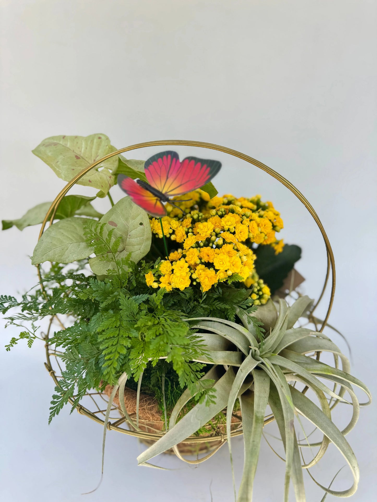 The Botanical Basket