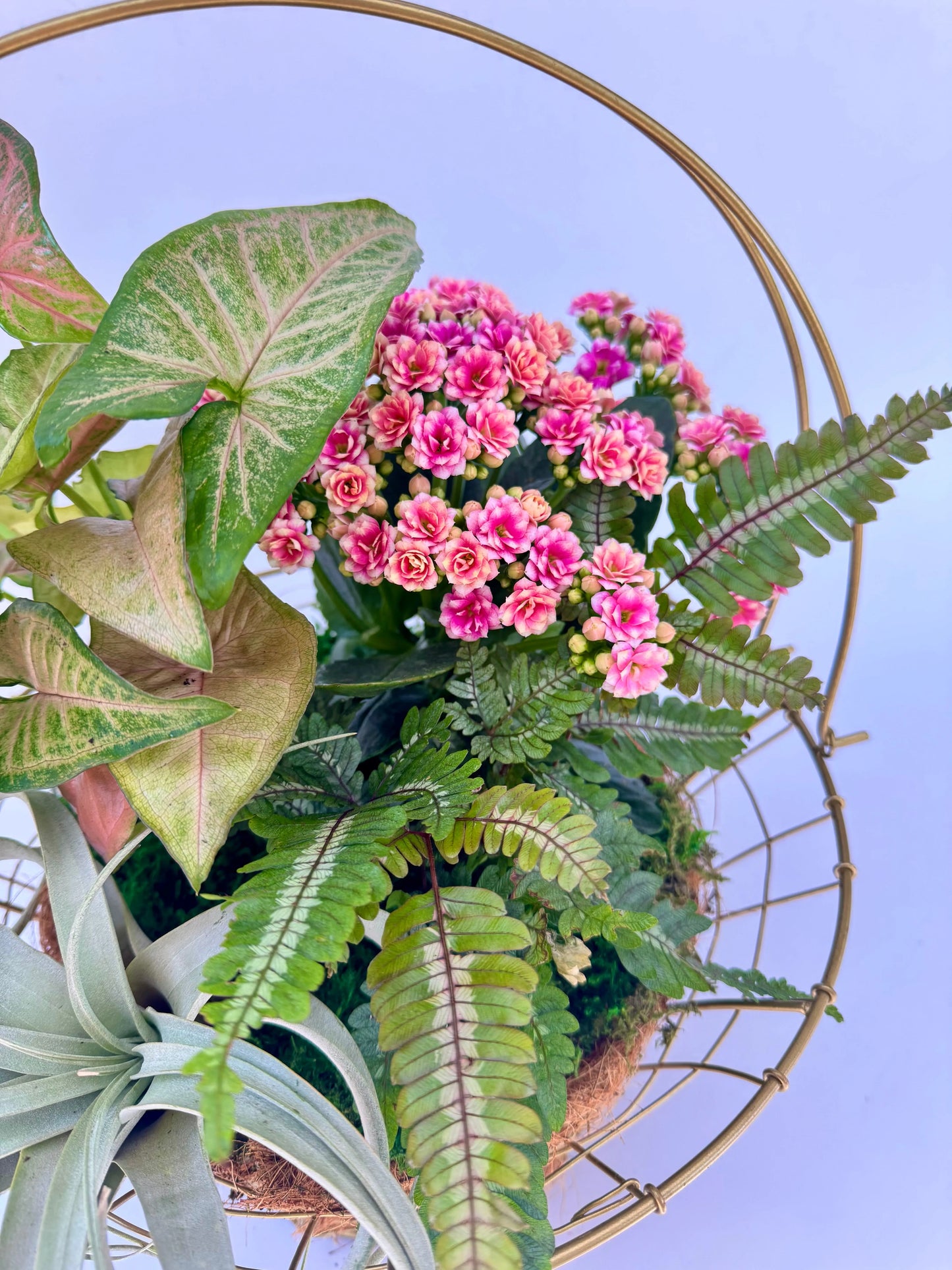 The Botanical Basket
