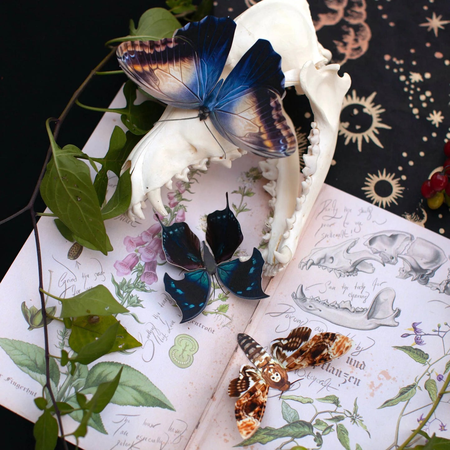 Halloween 'Hatchet' Paper Butterfly Set