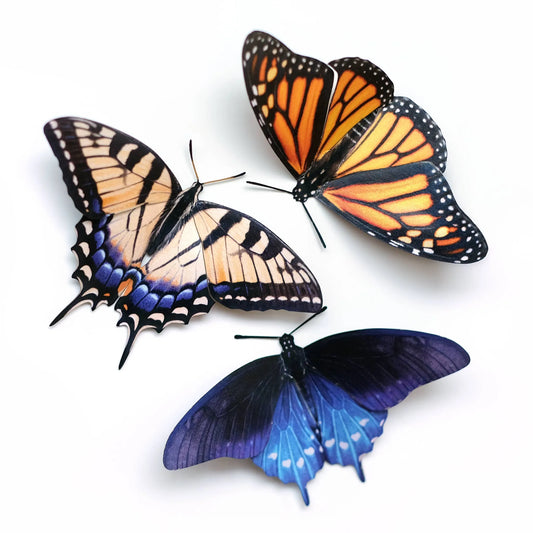 "East Coast" 3 Piece Butterfly set