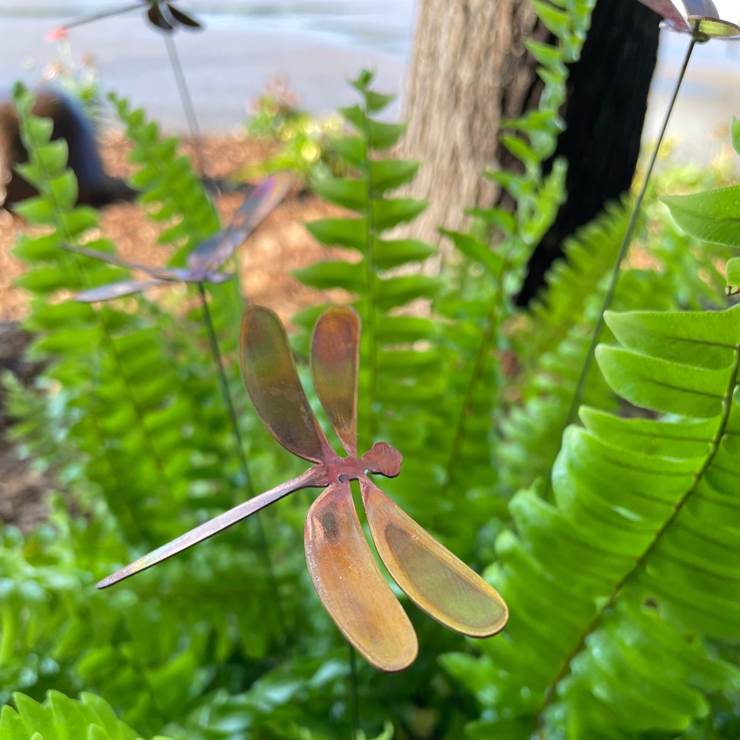 Natural Copper Dragonfly