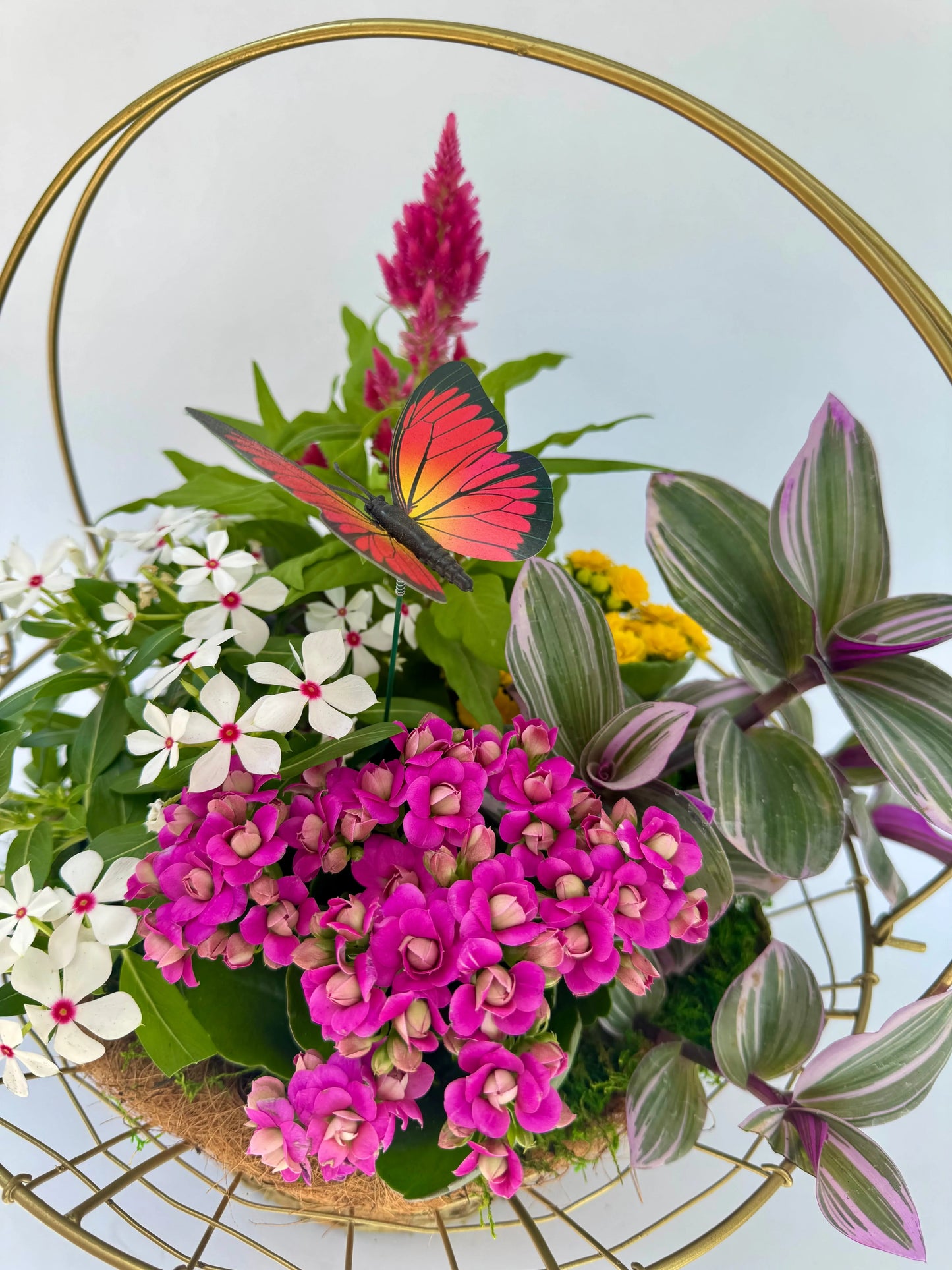 The Botanical Basket