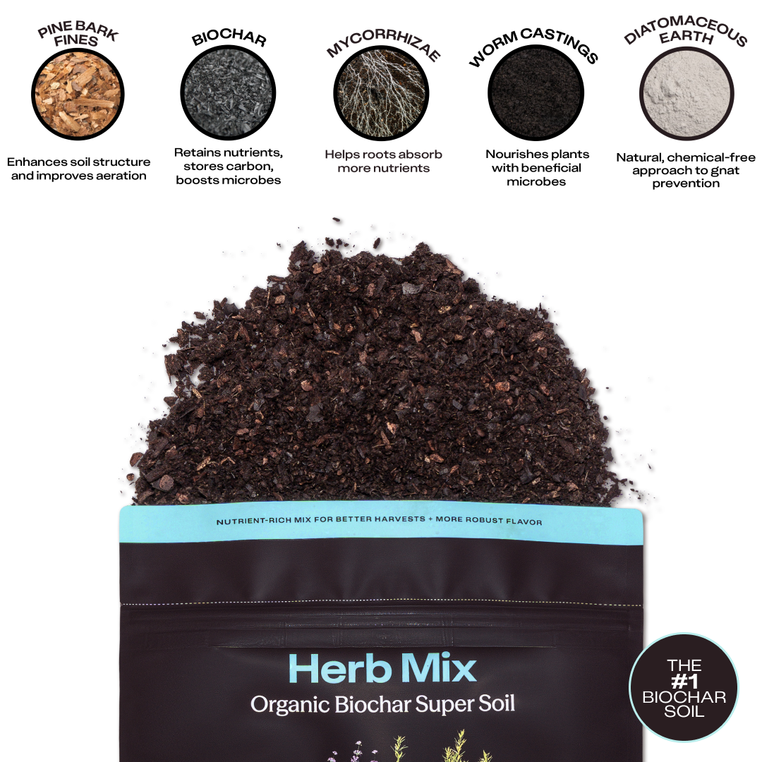 4 qt. Rosy Soil Herb Soil Mix