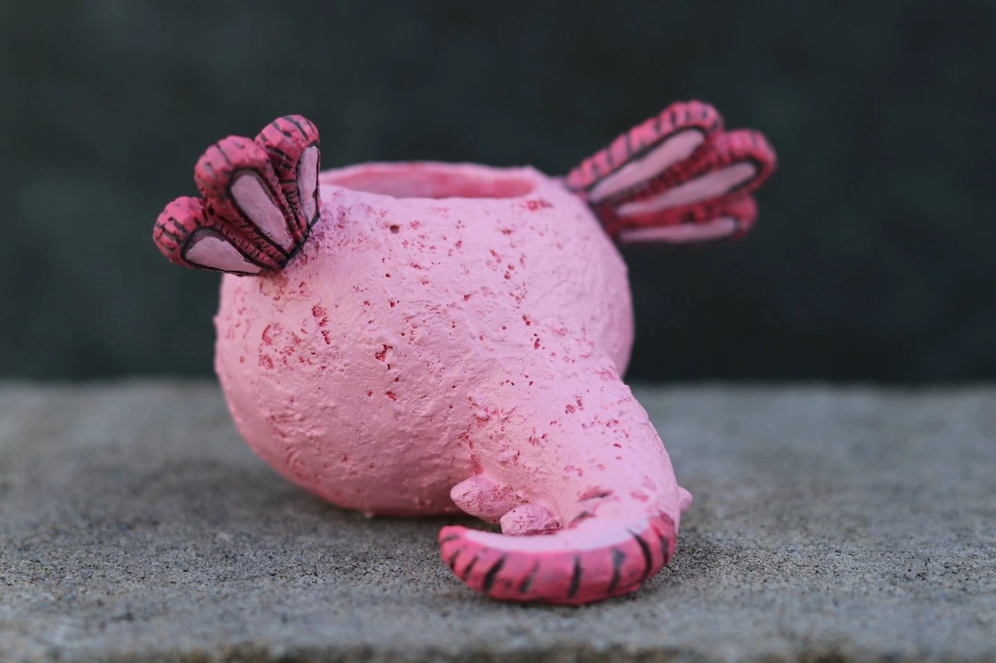 Alexander Axolotl Bany Salamander Blobhouse Planter