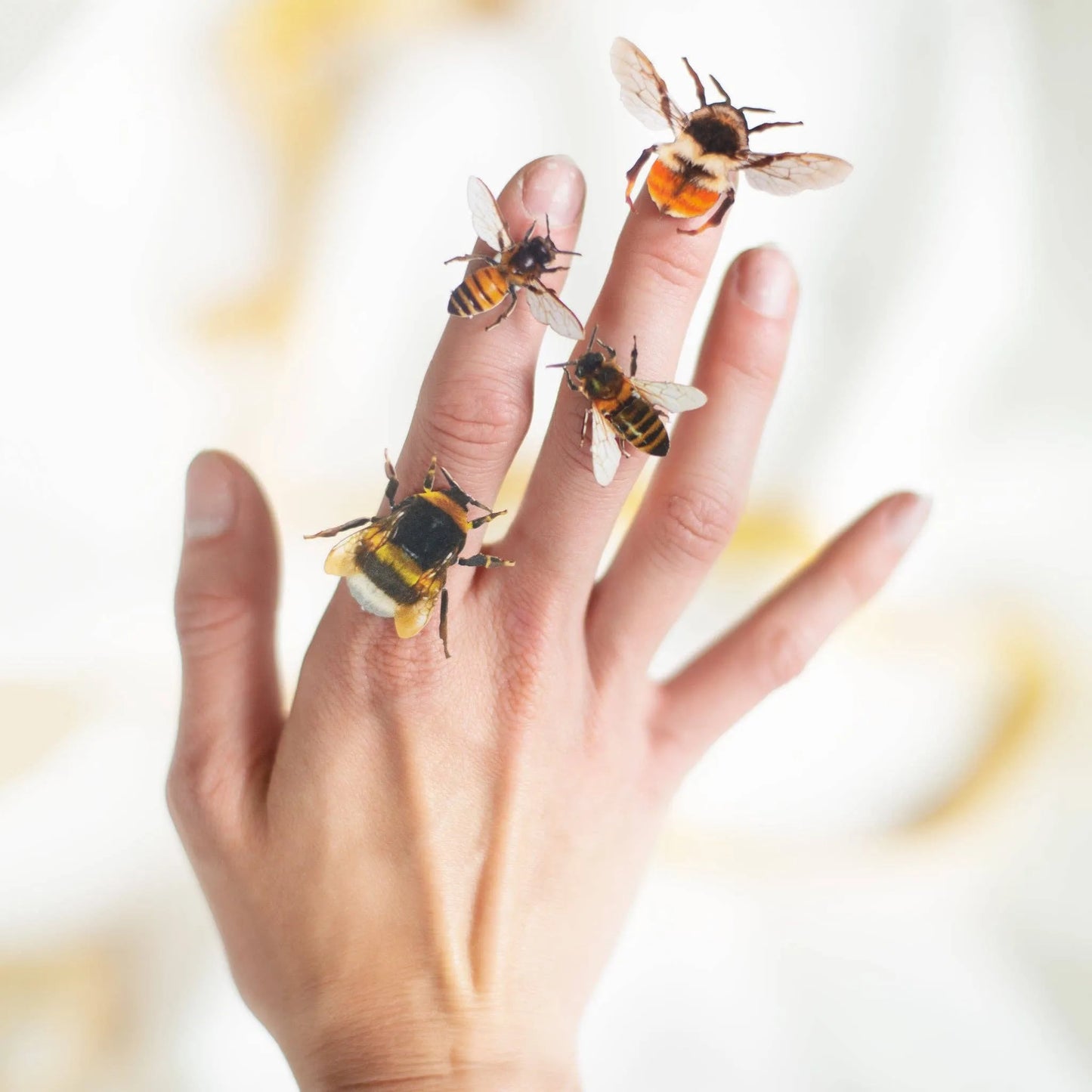 'The Bees Knees' Collection 12 piece Set