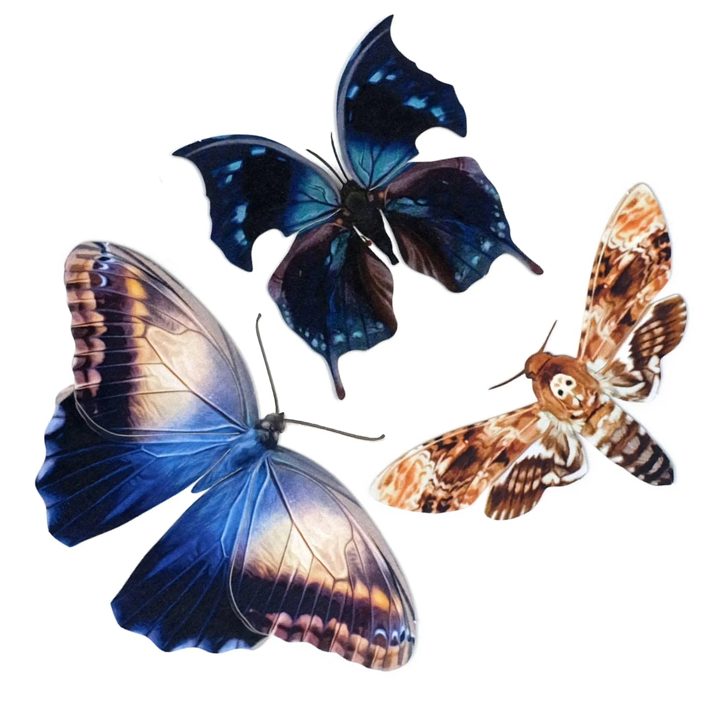 Halloween 'Hatchet' Paper Butterfly Set