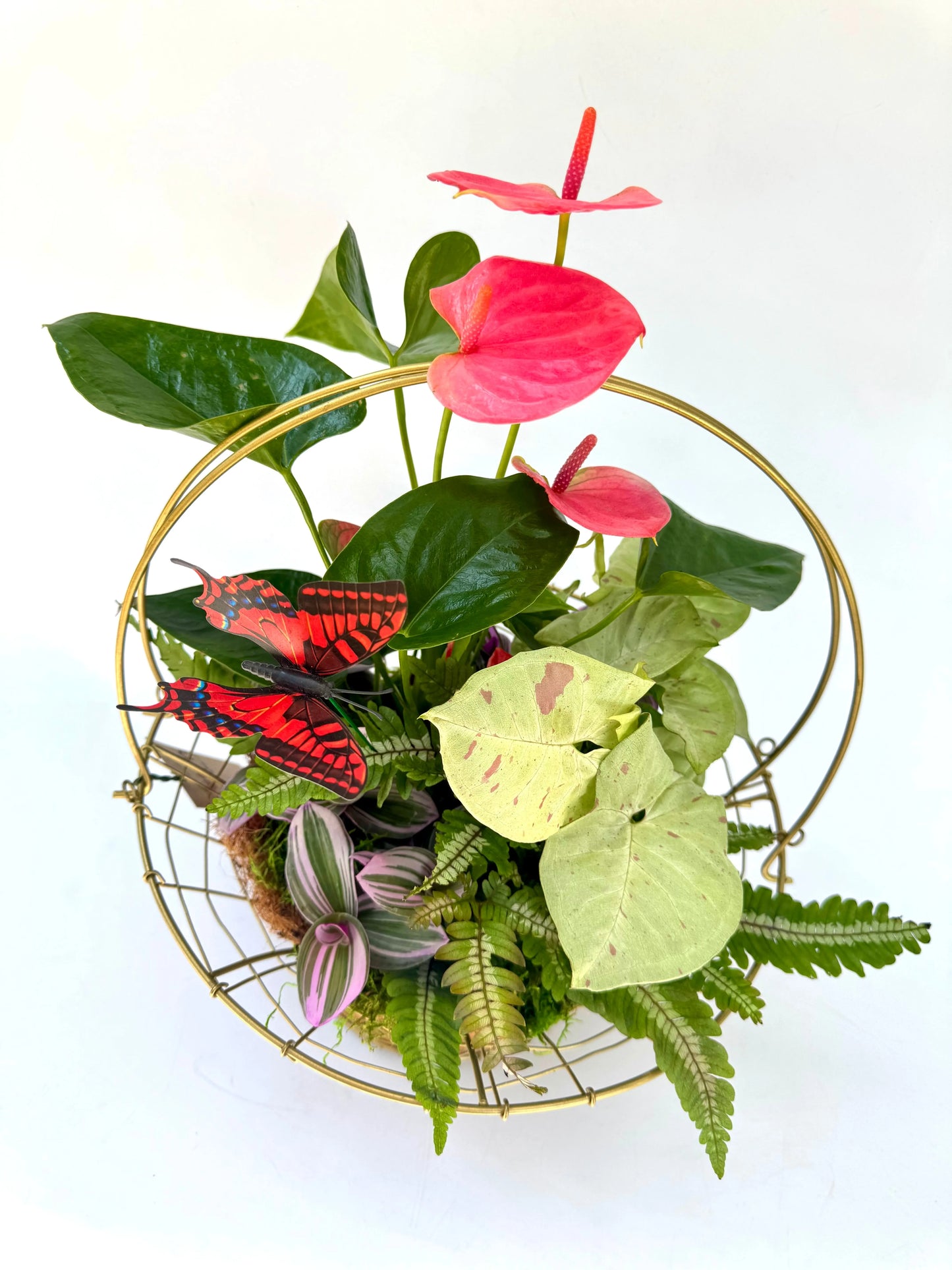 The Botanical Basket