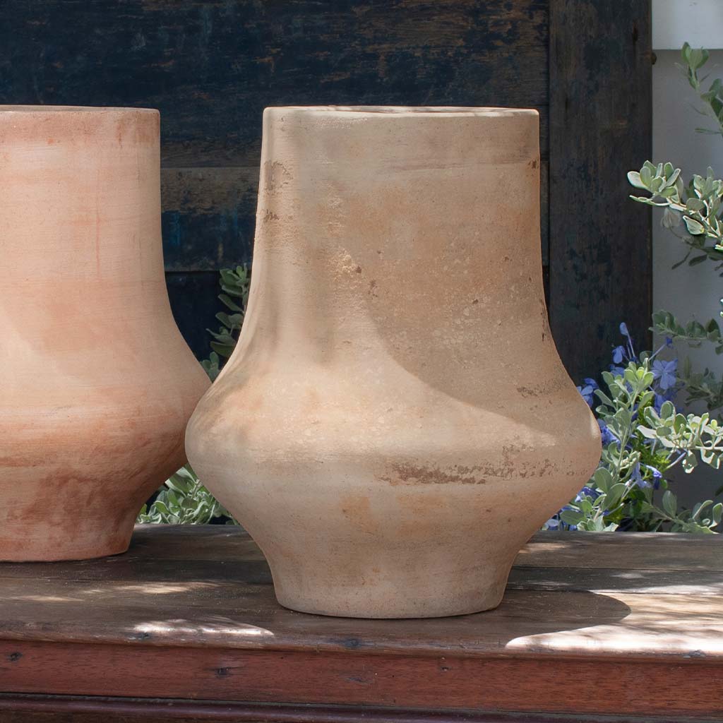 Campania Zuma Planter