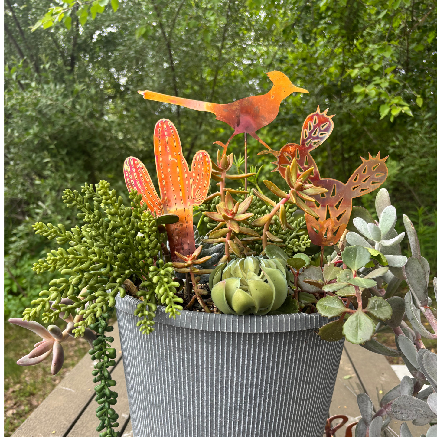Natural Copper Lined Cactus