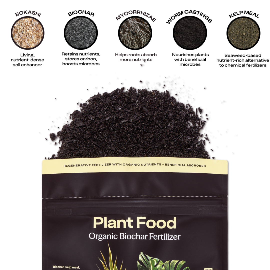 4 qt. Rosy Soil Plant Food