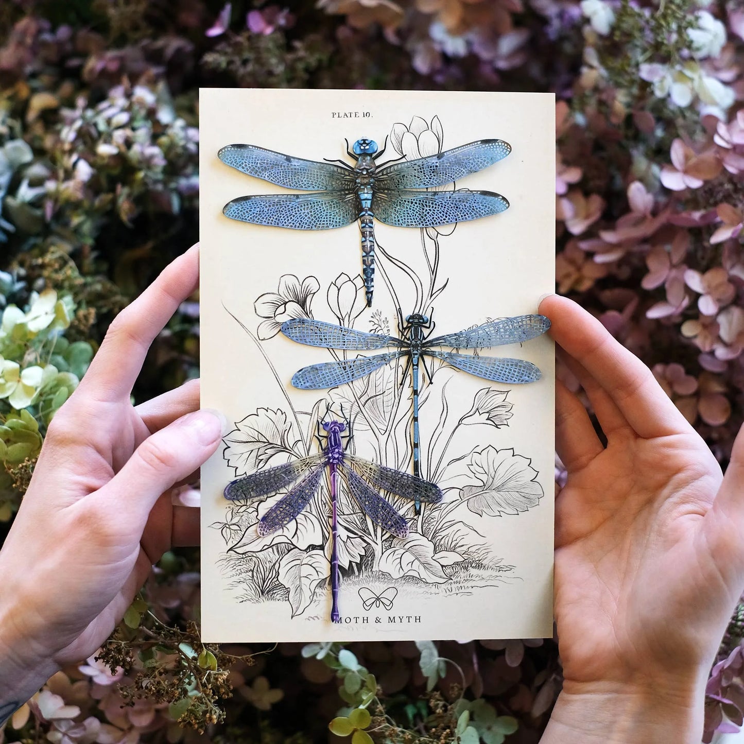 'Aerial' Dragonfly 3 Piece Set