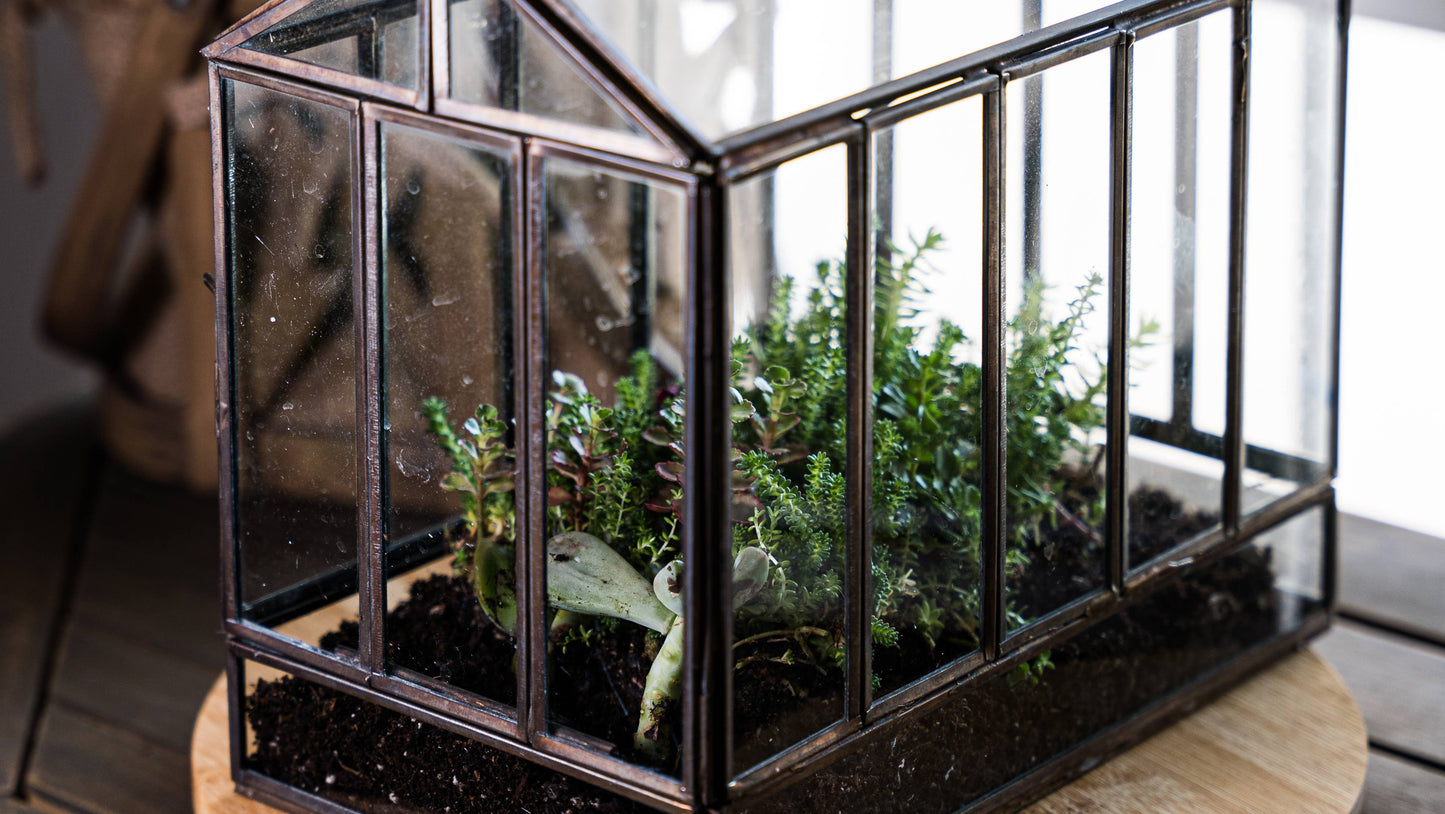 Greenhouse Glass and Metal Terrarium Bronze 10 x 7 x 10
