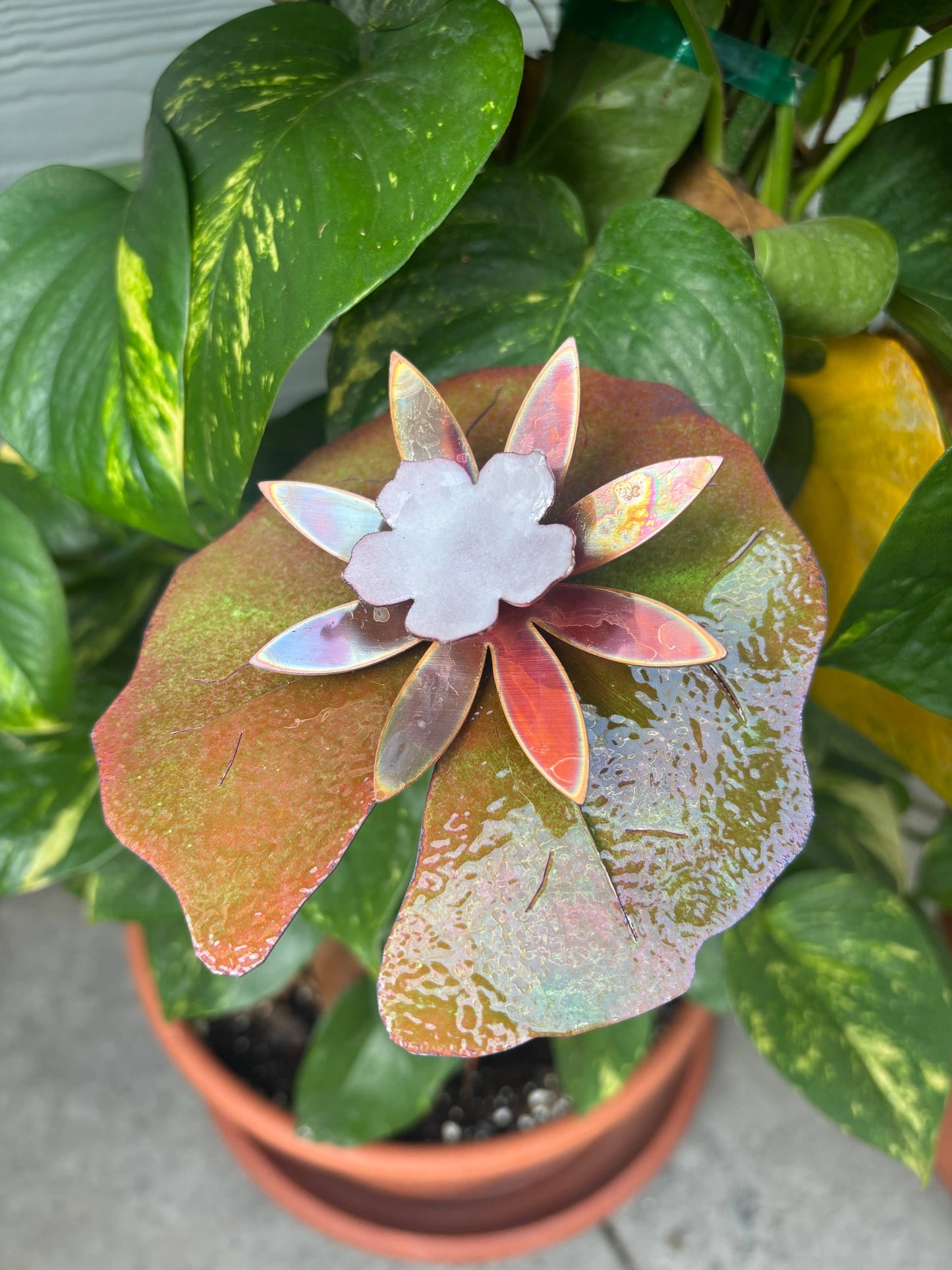 Copper Enamel Porcelain Lily Pad