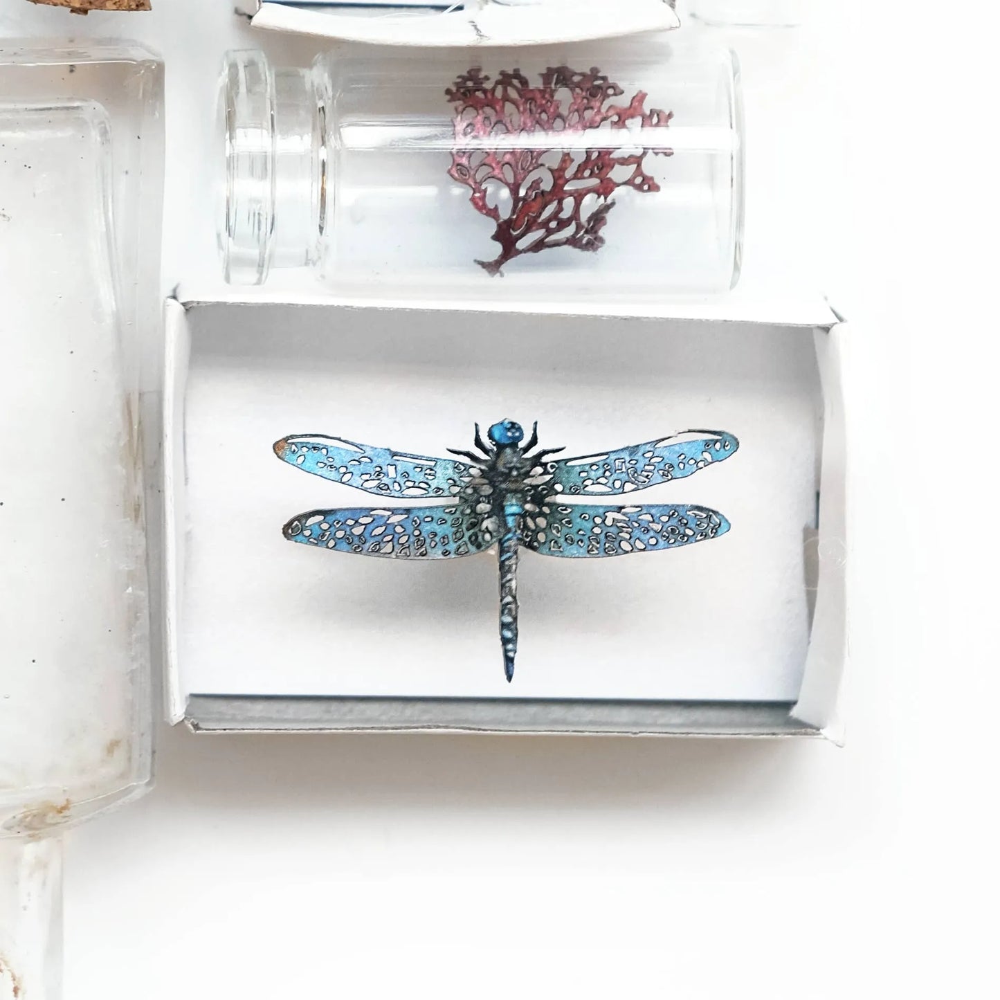 'Biophilia' Micro Specimen Collection