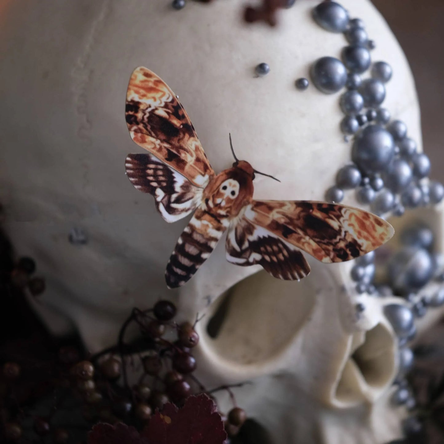 'Forage' Moth & Mushroom 3 piece set