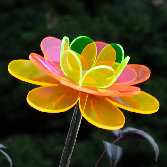 Mother's Day garden gift - Wanda Lotus