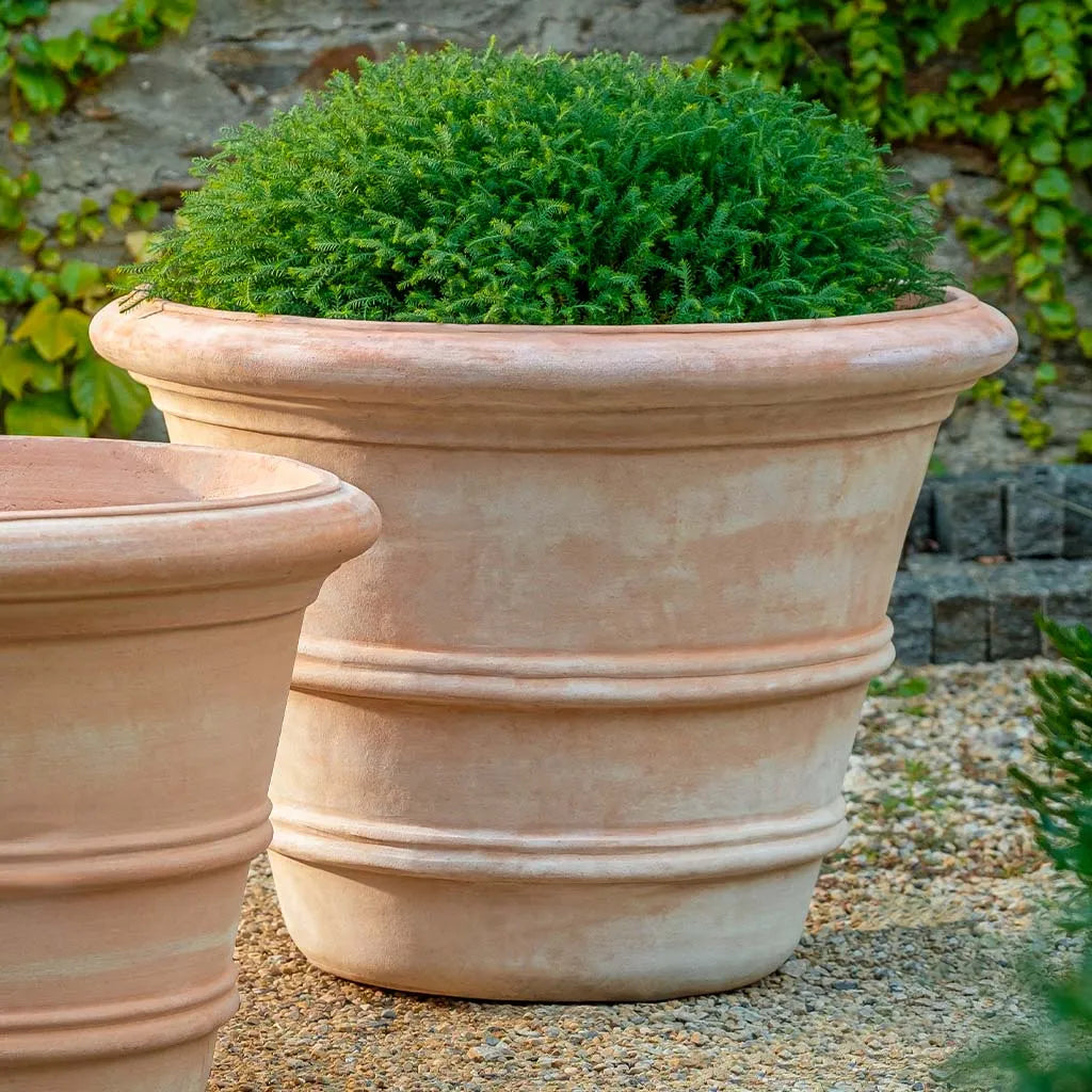 Campania Classic Double Rolled Rim