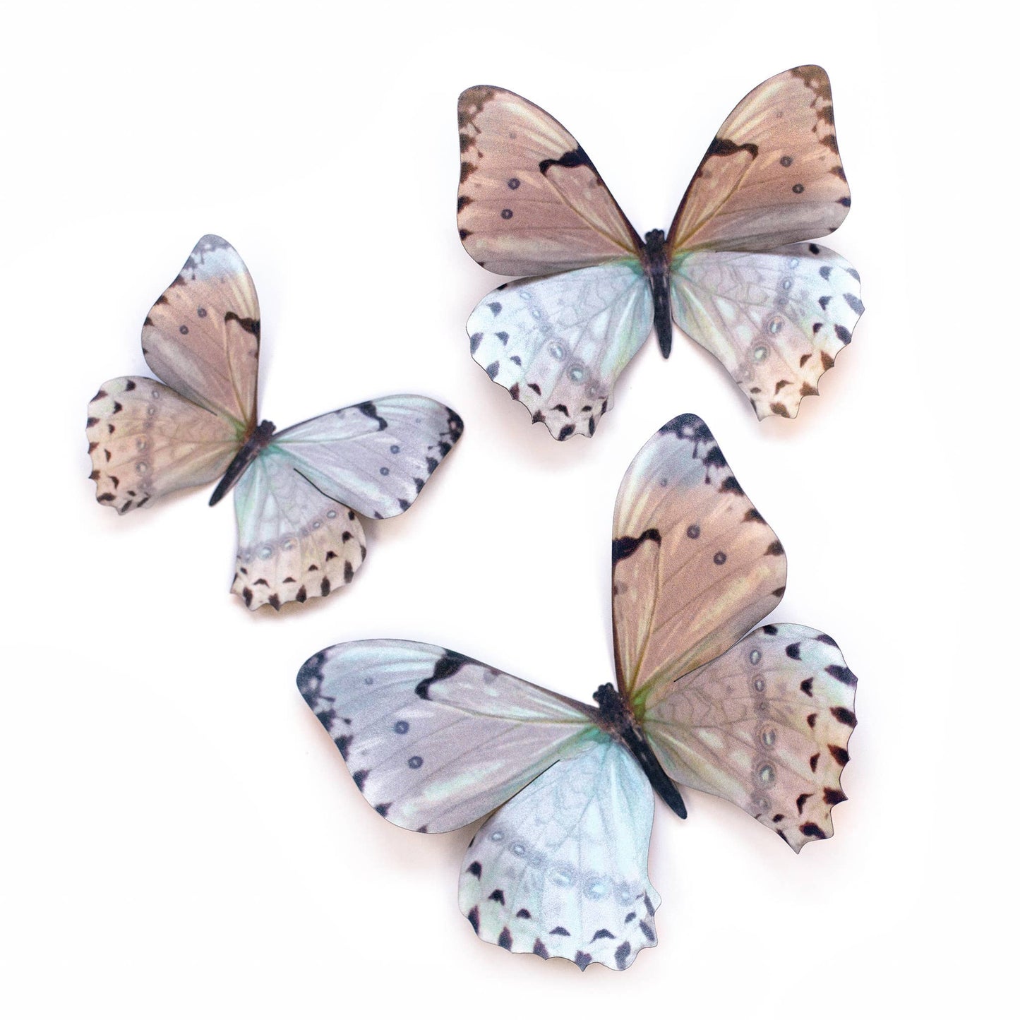 Mint Morpho Butterfly Collection - 3 Piece Set