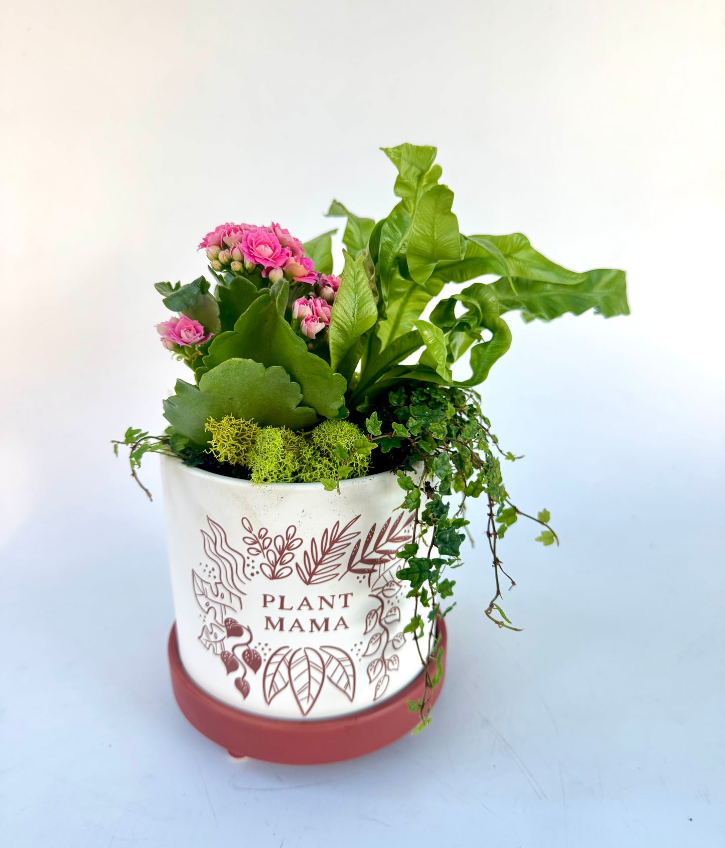Plant Mama
