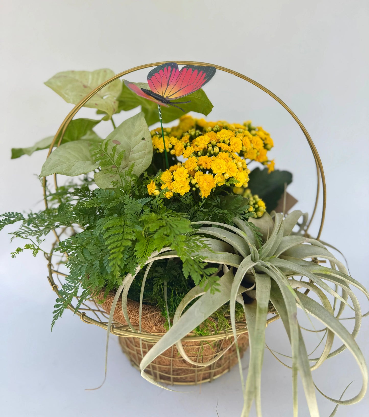 The Botanical Basket