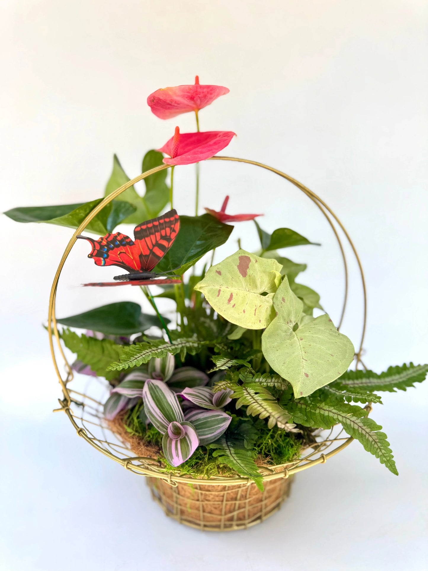 The Botanical Basket