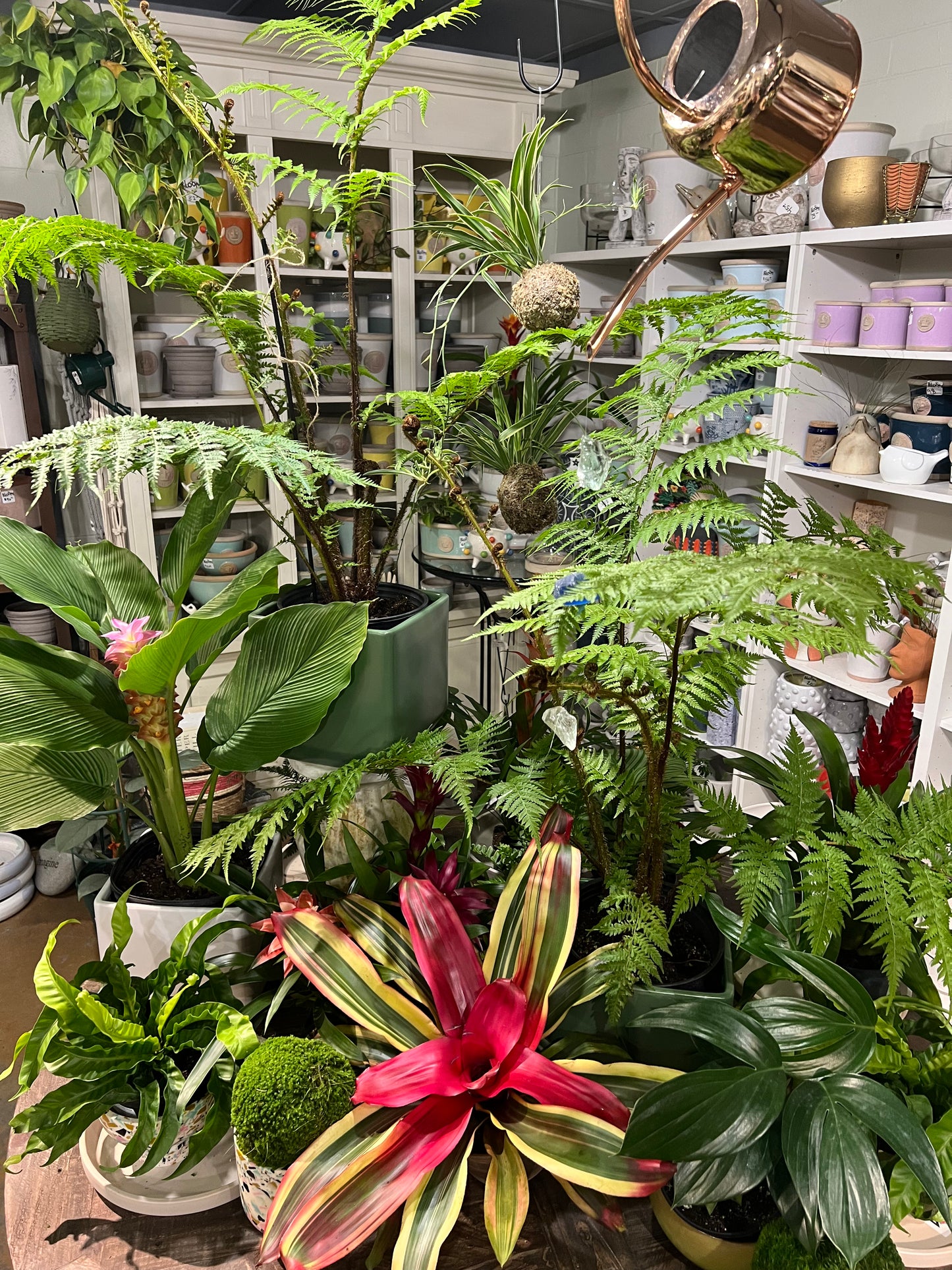 Kokedama 101 Workshop