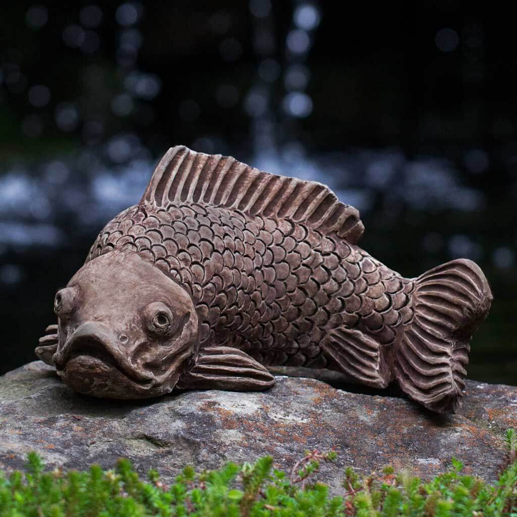 Campania Large Koi
