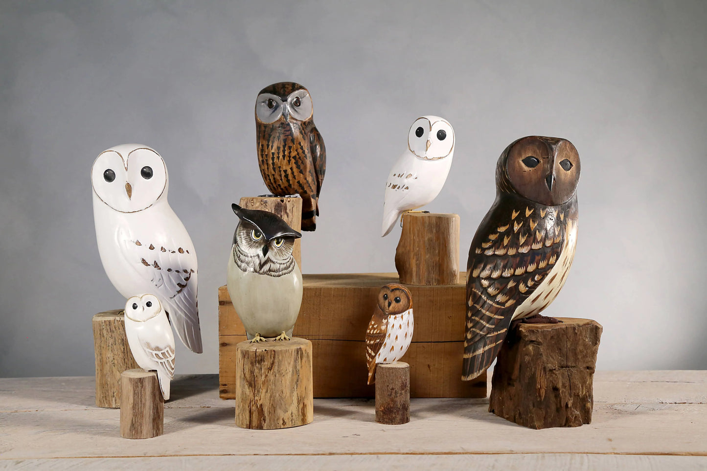 Owl - Saw Whet - 10"H - Hand Carved Ornament