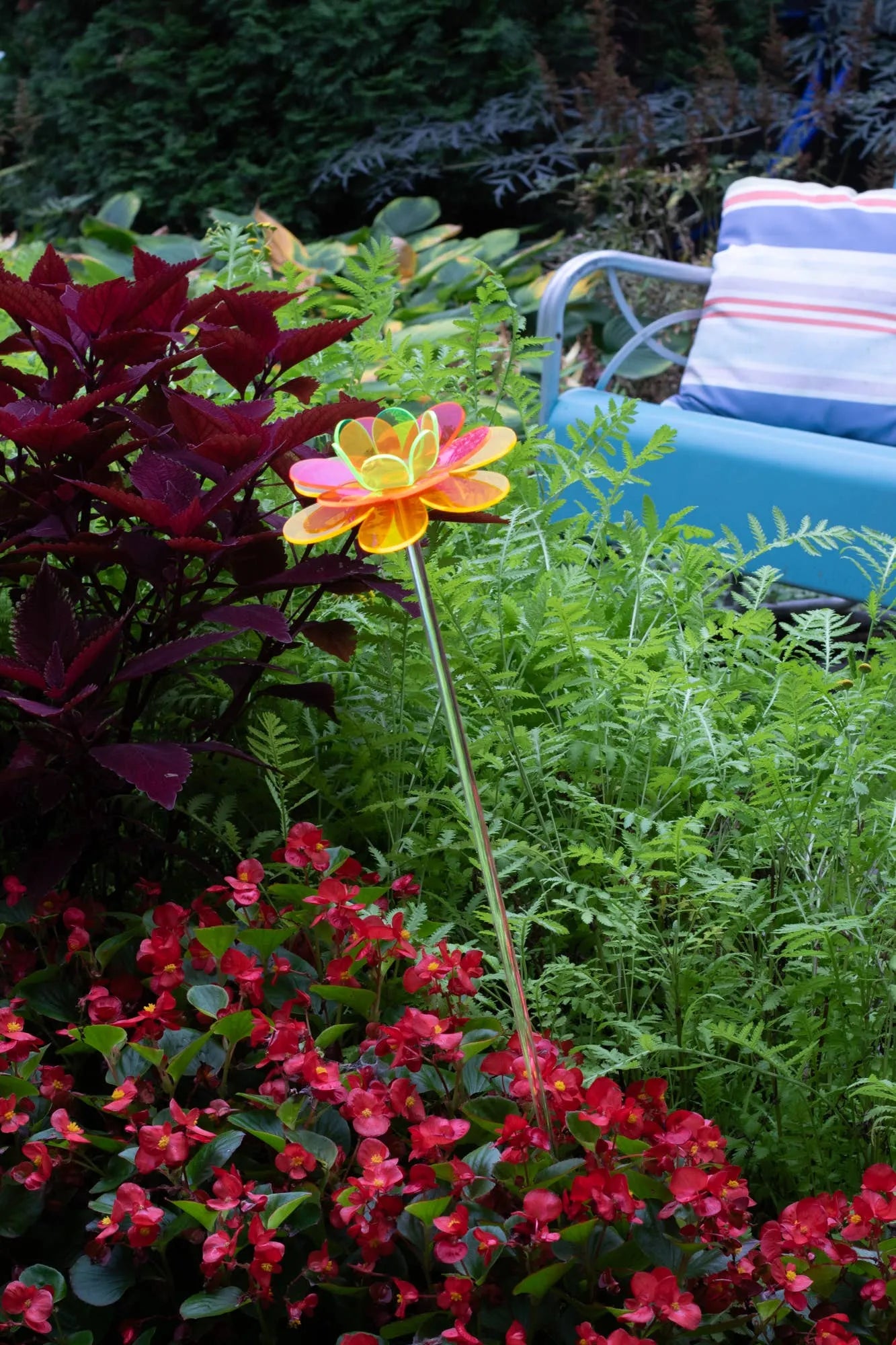 Mother's Day garden gift - Wanda Lotus