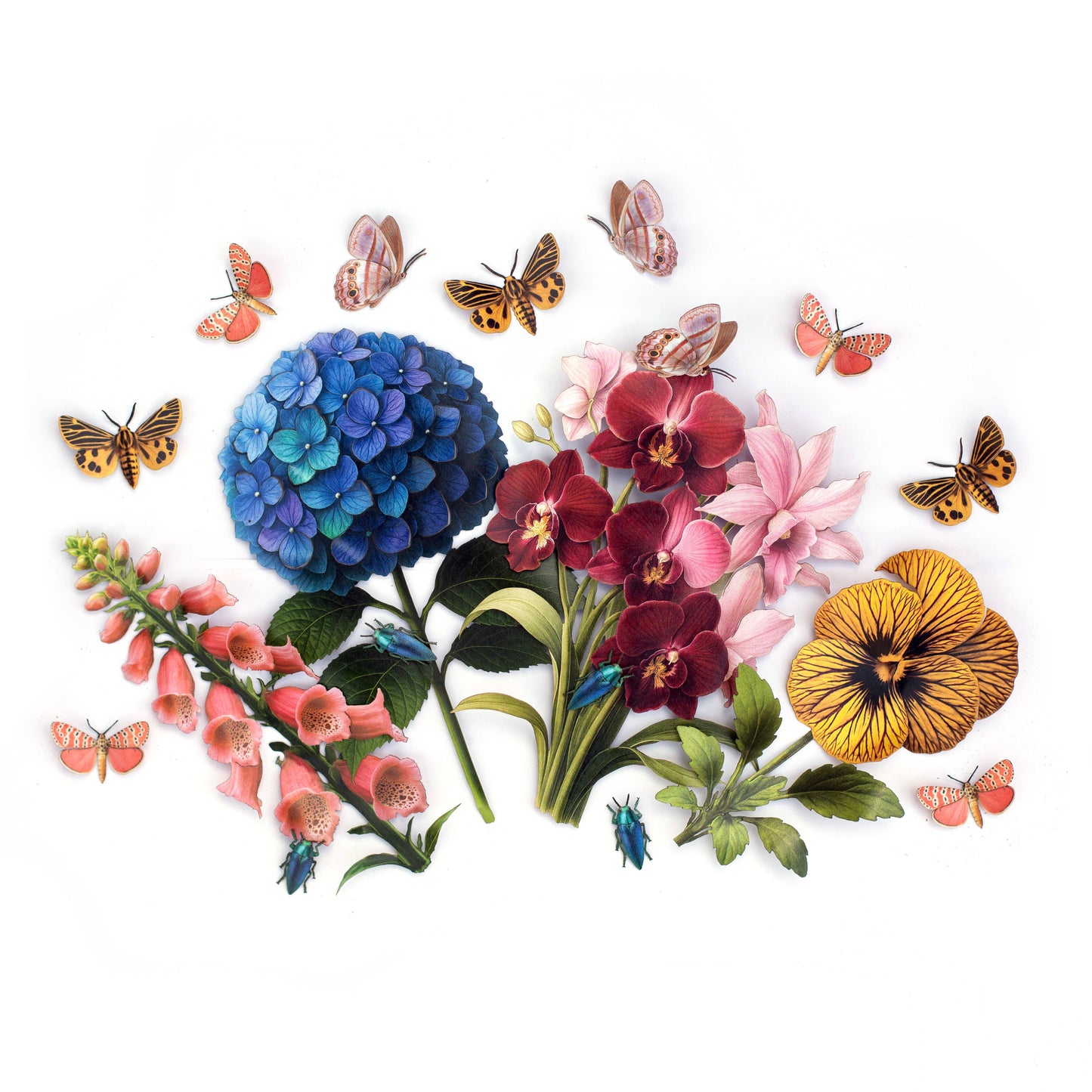 Little Virgin Tiger Moth & Tiger Eye Viola Collection - 4 Piece Set