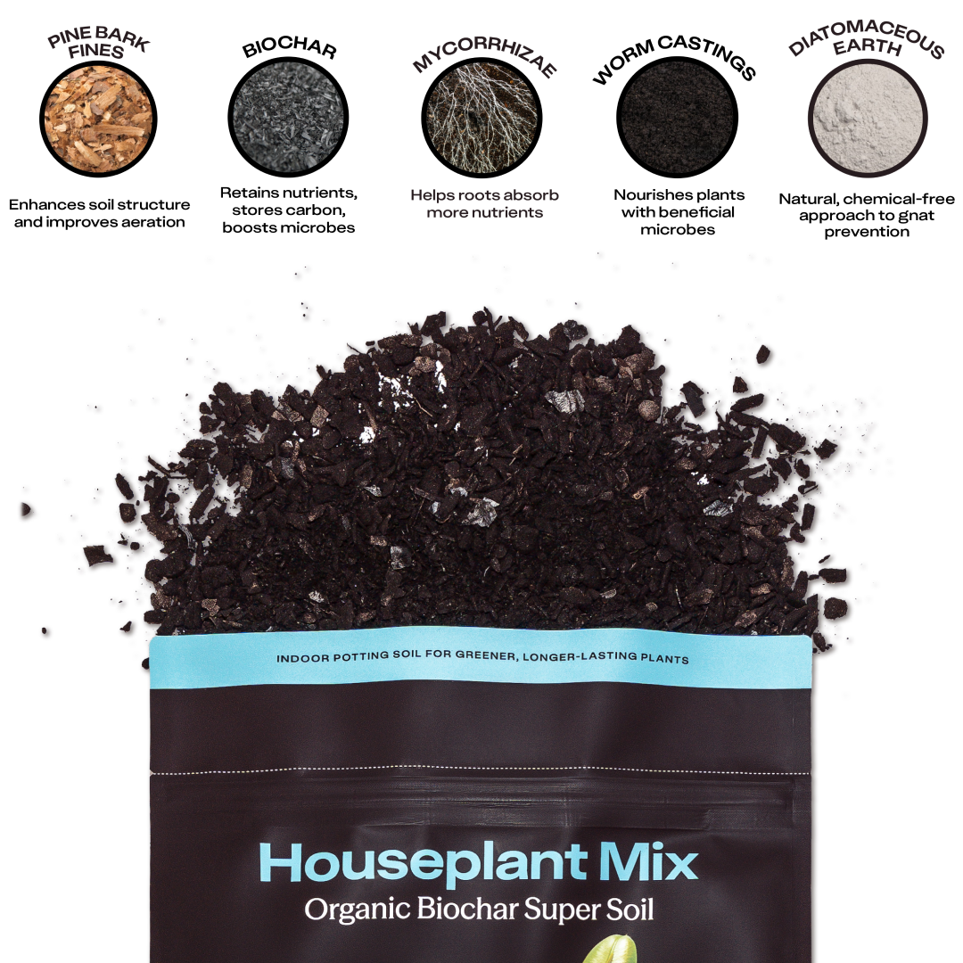 4 qt. Rosy Soil Houseplant Soil Mix