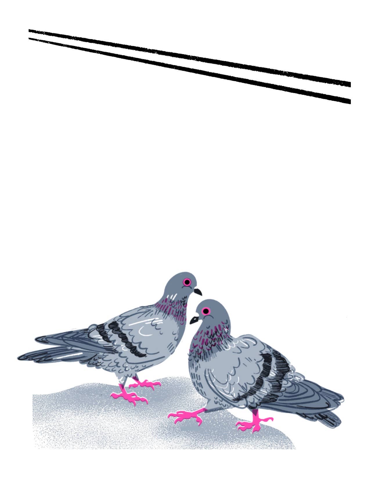 Pigeons! Little Jotter Notepad