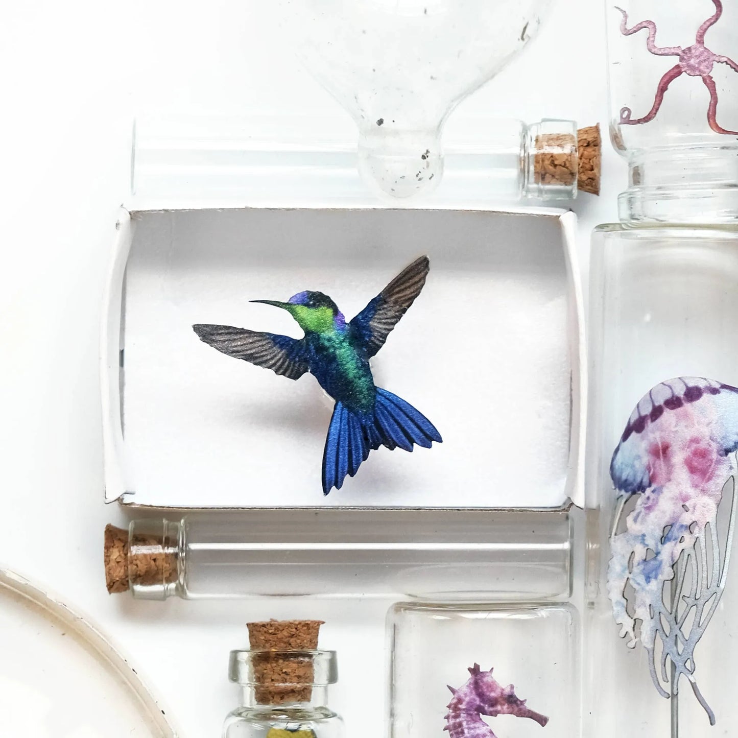 'Biophilia' Micro Specimen Collection