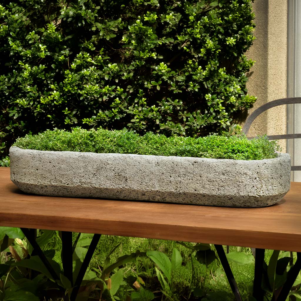 Campania Peniche Planter