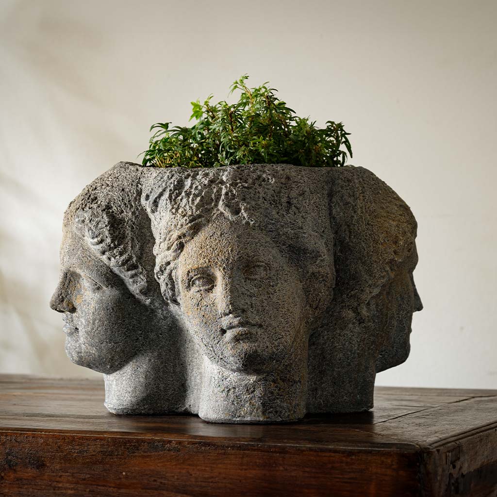 Campania Quatro Planter