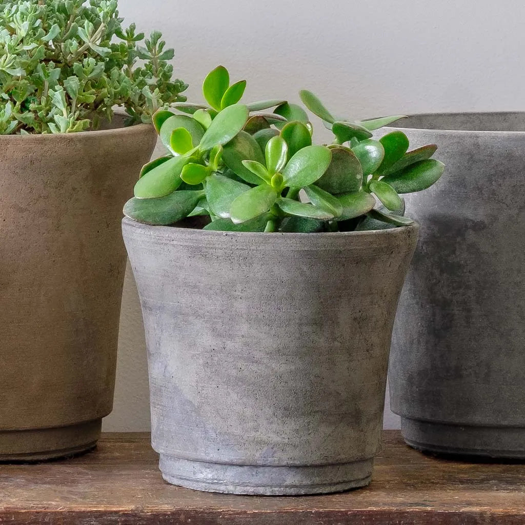 Campania Cloche Planter - Terrace