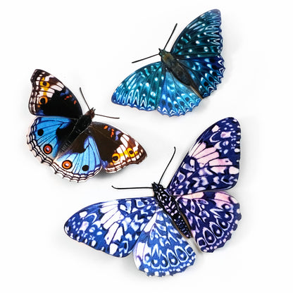 Celestial Butterfly Collection - 3 Piece Set