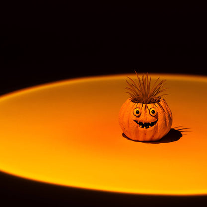 Snickers Mini the Pumpkin Blobhouse Planter