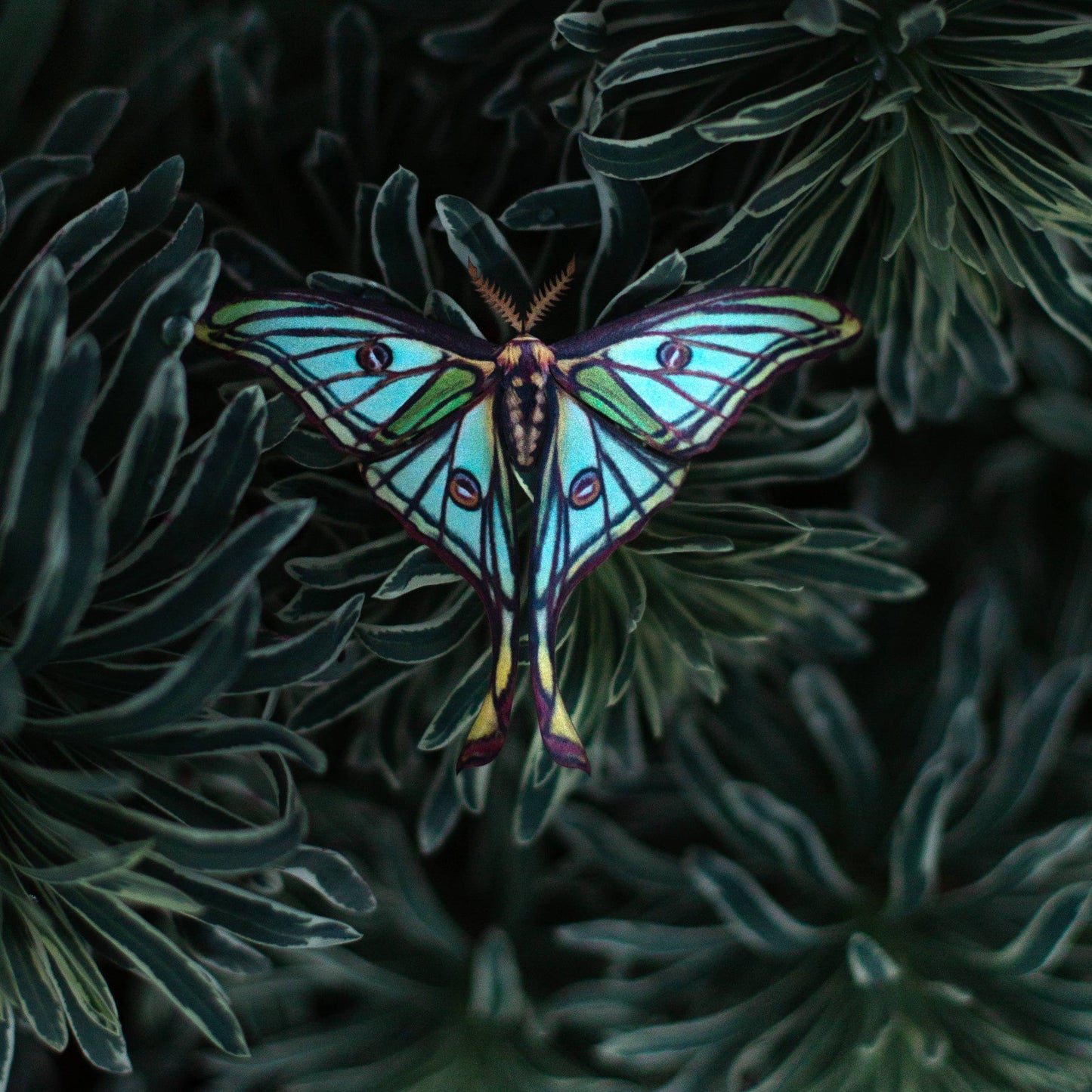 Moonborn Luna Moth Collection - 3 Piece Set