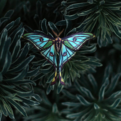 Moonborn Luna Moth Collection - 3 Piece Set