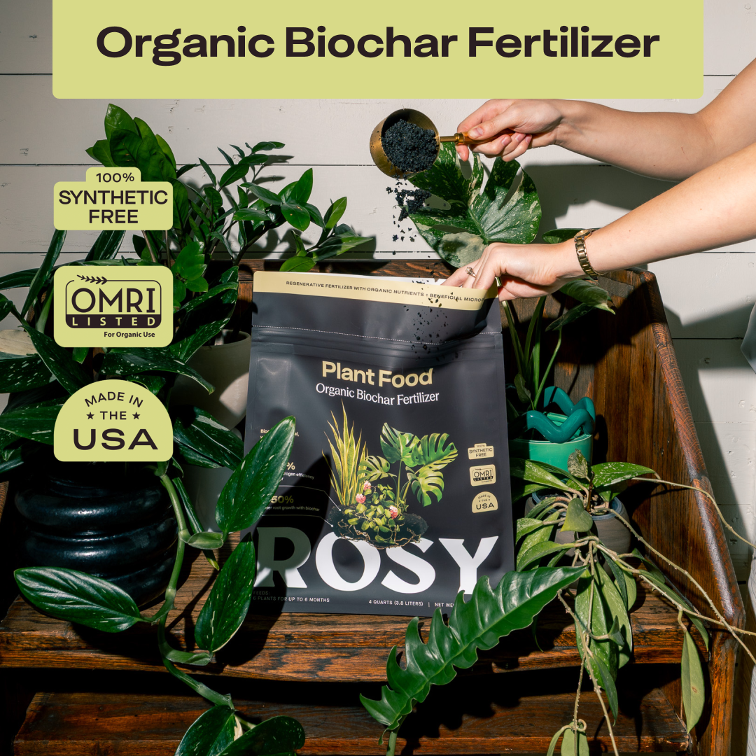 4 qt. Rosy Soil Plant Food