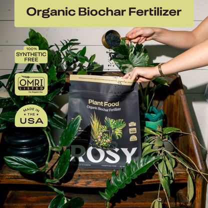 4 qt. Rosy Soil Plant Food