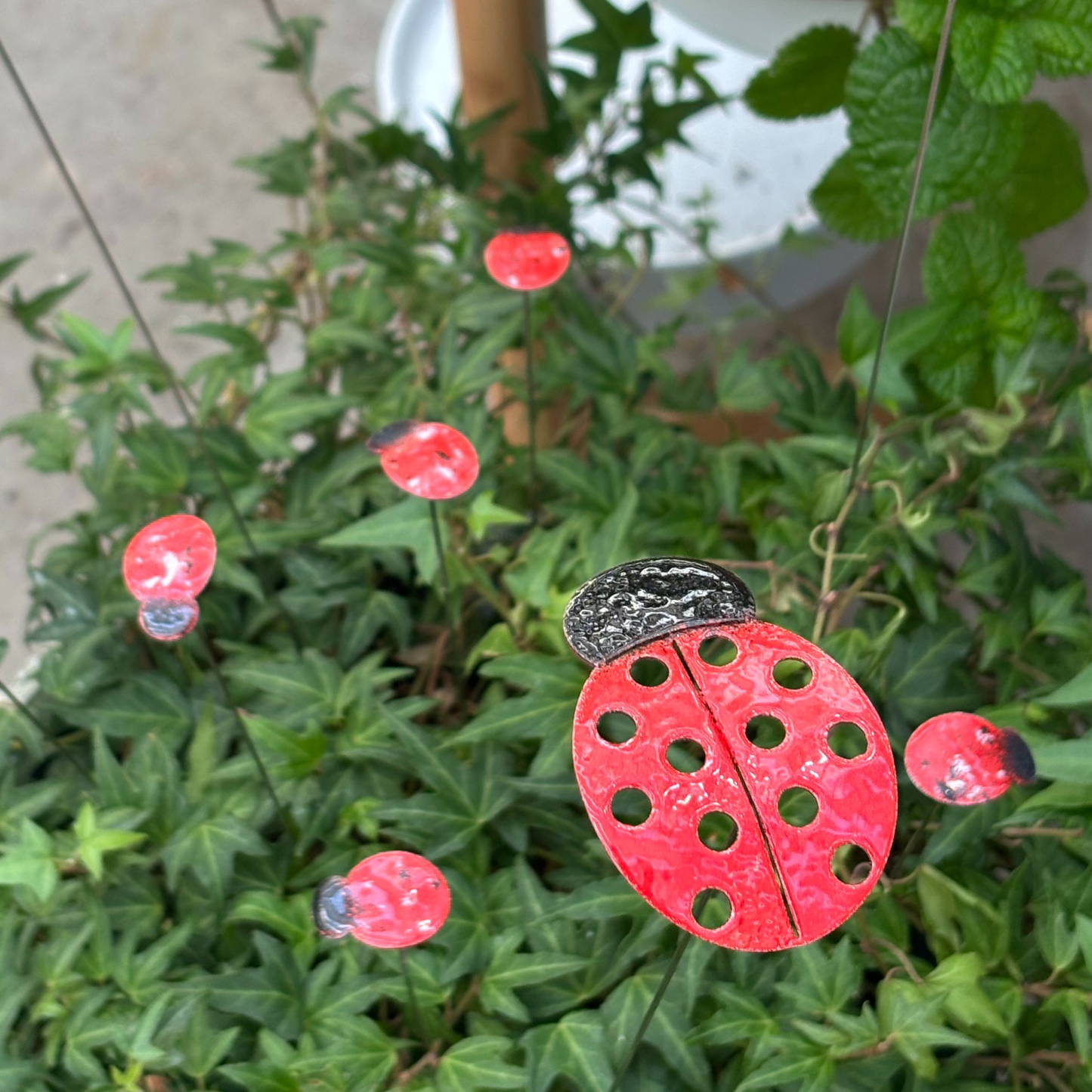 Copper Enamel Ladybug