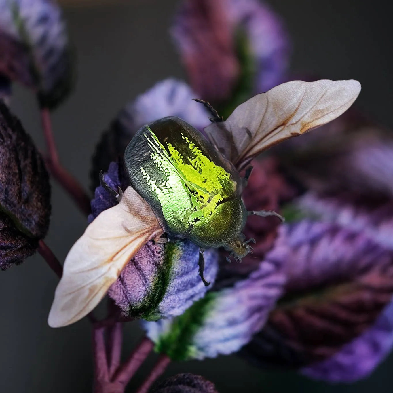 'Undergrowth' Foil-Embellished Beetle 4 piece Set