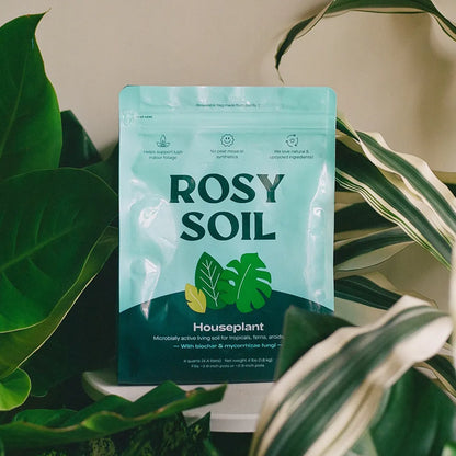 4 qt Organic potting soil mix, indoor, houseplant & herbs
