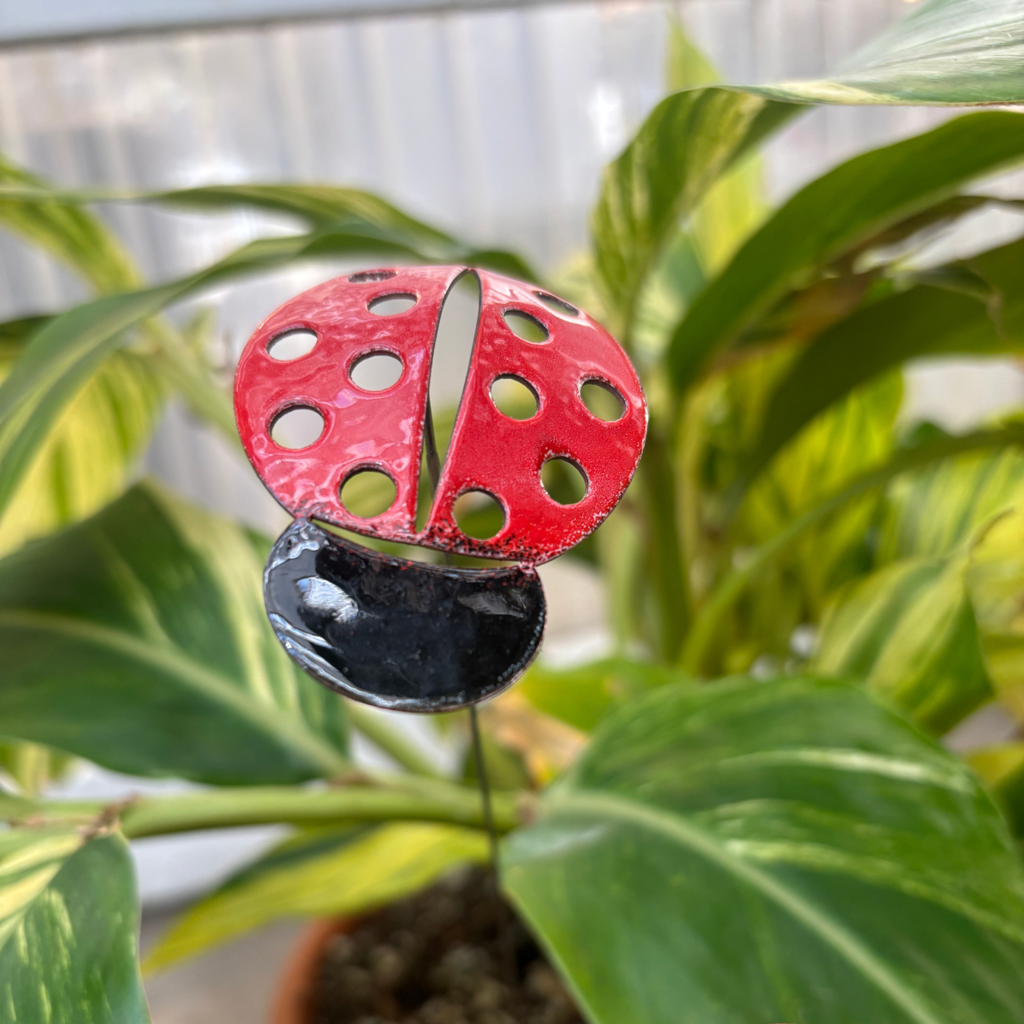 Copper Enamel Ladybug
