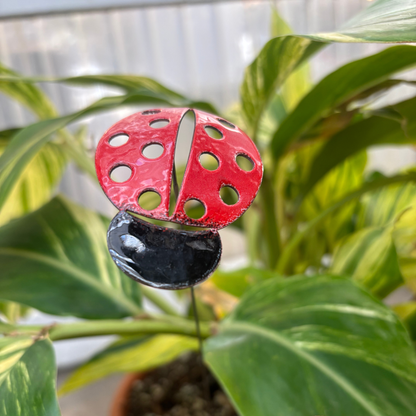 Copper Enamel Ladybug