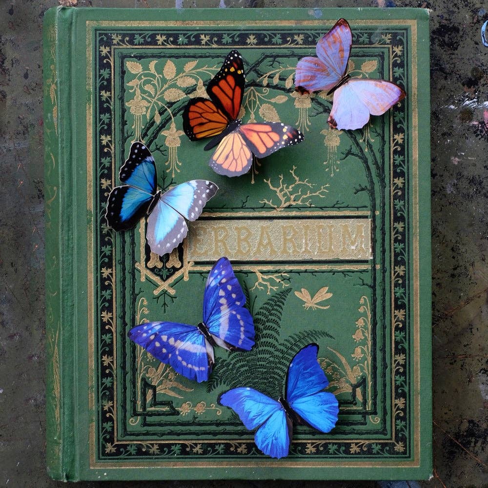 Morphos & Monarch Butterfly Collection - 5 Piece Set